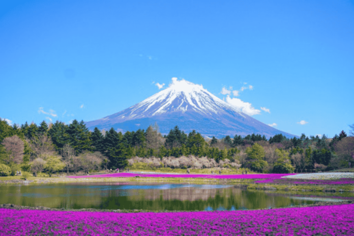 mount fuji mount fuji