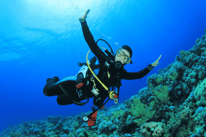 best scuba diving in india