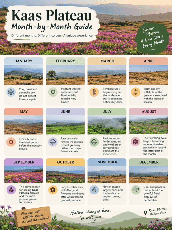 best time to visit kaas plateau