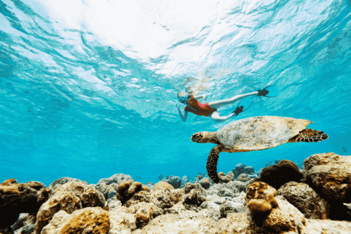 snorkeling in andaman