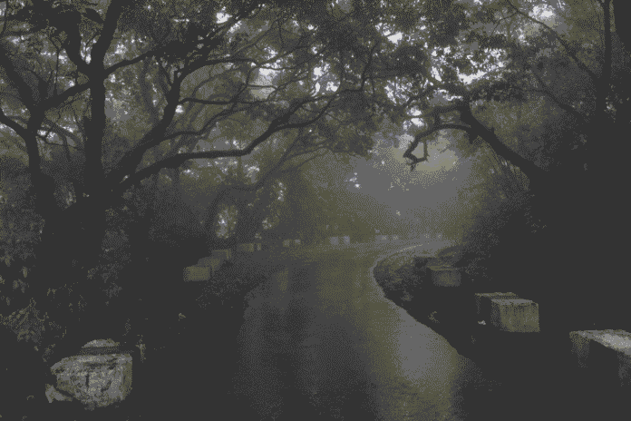 places to visit in india monsoon places to visit in india monsoon