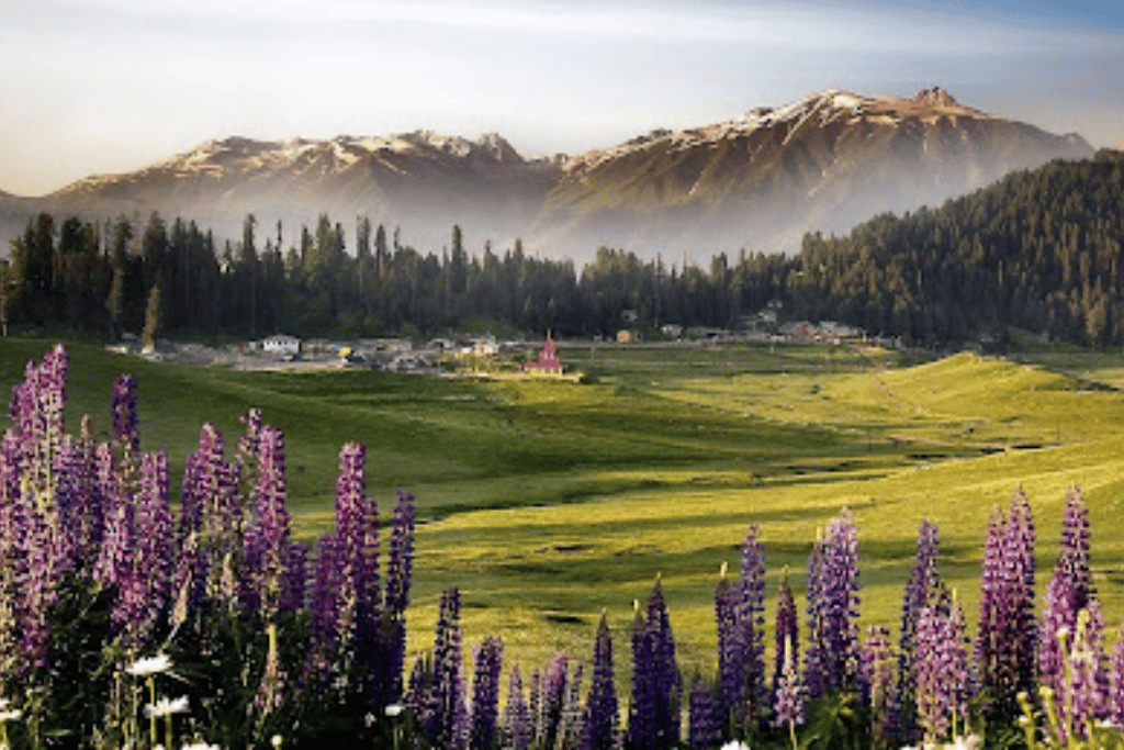 destinations in India for couples