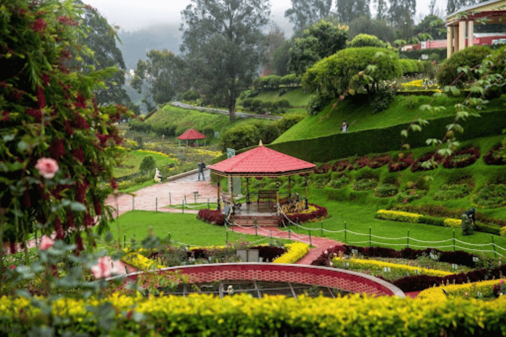 destinations in India for couples