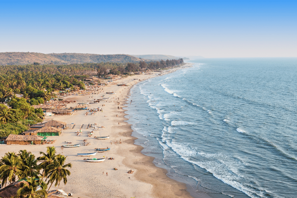 surfing in india