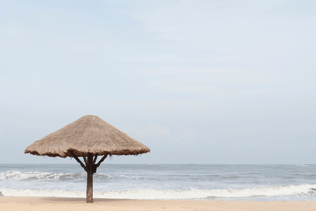 surfing in india