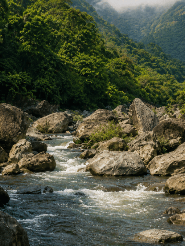 top scenic villages in palakkad kerala