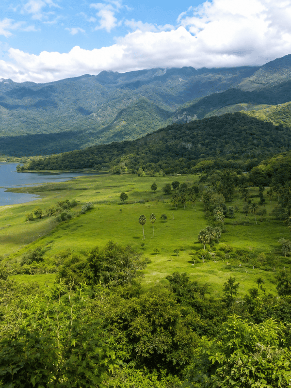 kava - top scenic villages in palakkad