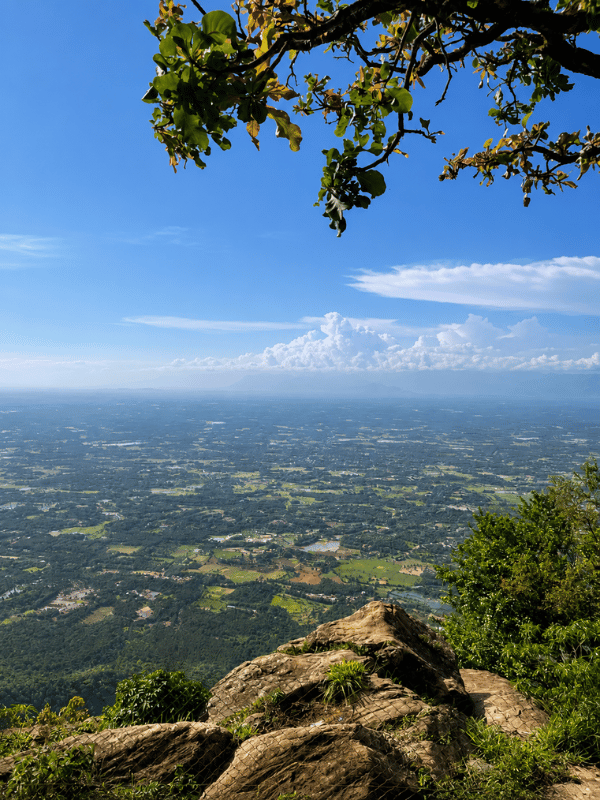 nelliyampathy - top scenic villages in palakkad