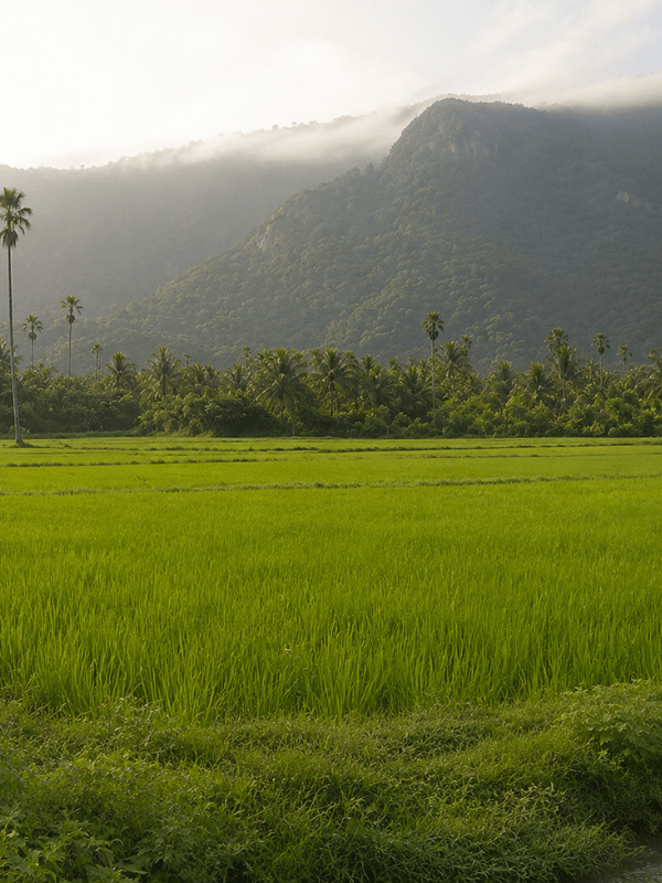 top scenic village in palakkad