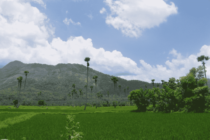 top scenic villages in palakkad