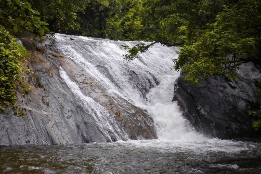 dhoni waterfalls