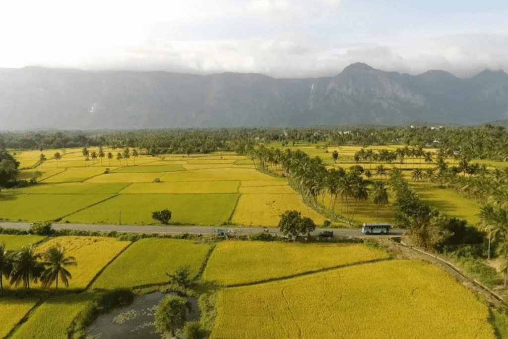 one day trip from palakkad - kollengode