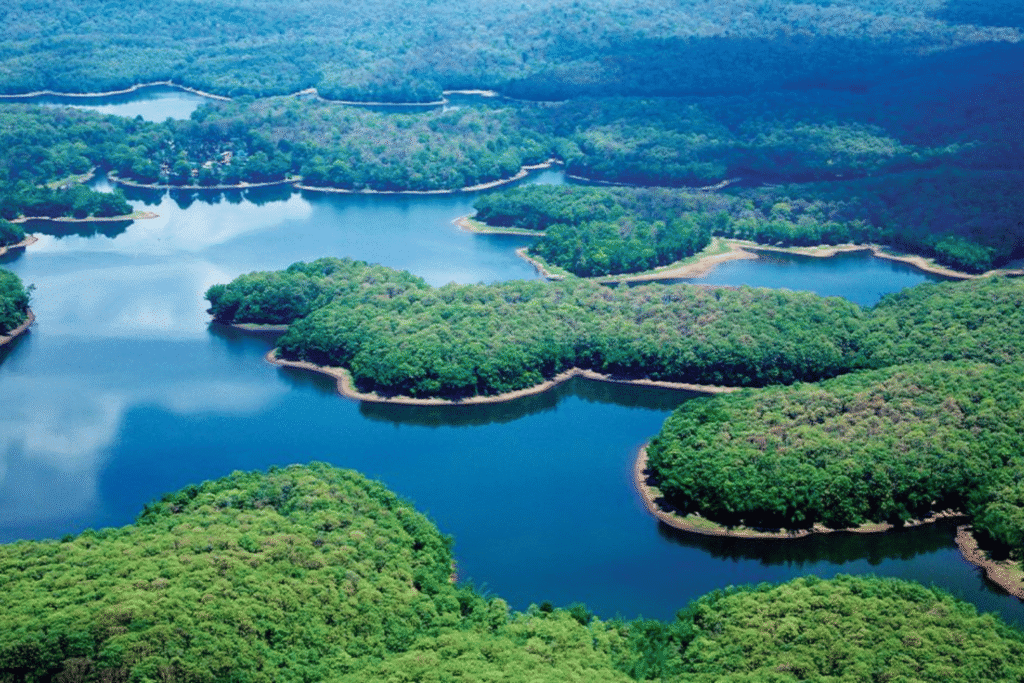 parambikulam - one day trip from palakkad
